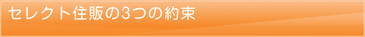 ZNgẐ3̖